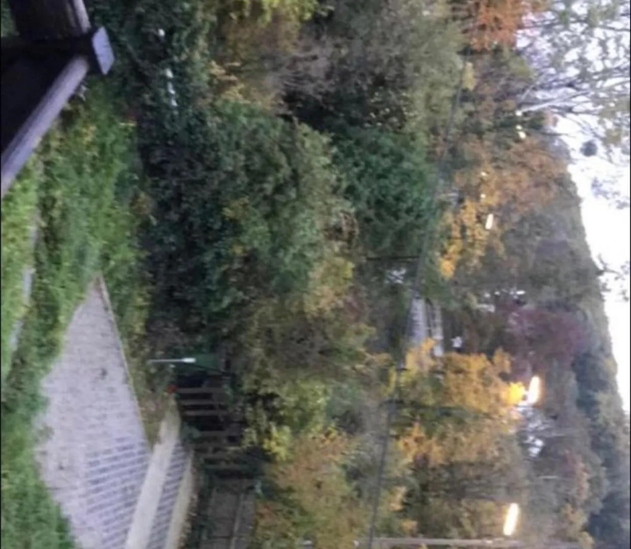 Apartment House Forest Vienna Austria