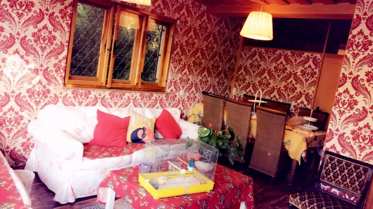 Apartment House Forest Vienna 0*,
